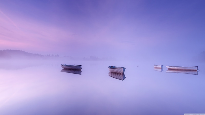 blue, message, mid-air, blue background, landscape, lake, colored background, mist, flying, reflection, purple, fantasy, calm waters, day, low angle view