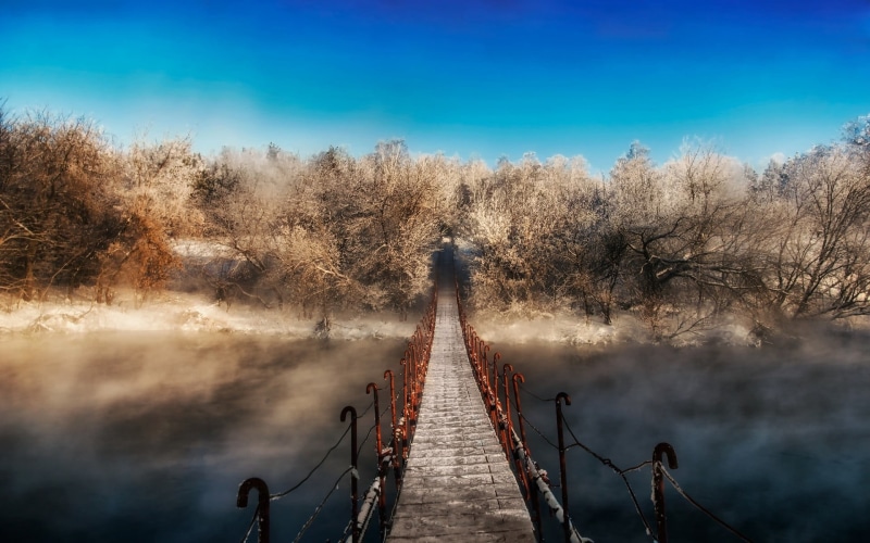 outdoors, tree, beauty in nature, transportation, 1080P, sky, tranquil scene, landscape, brown, water, plant, winter, walkway, men, architecture, mist