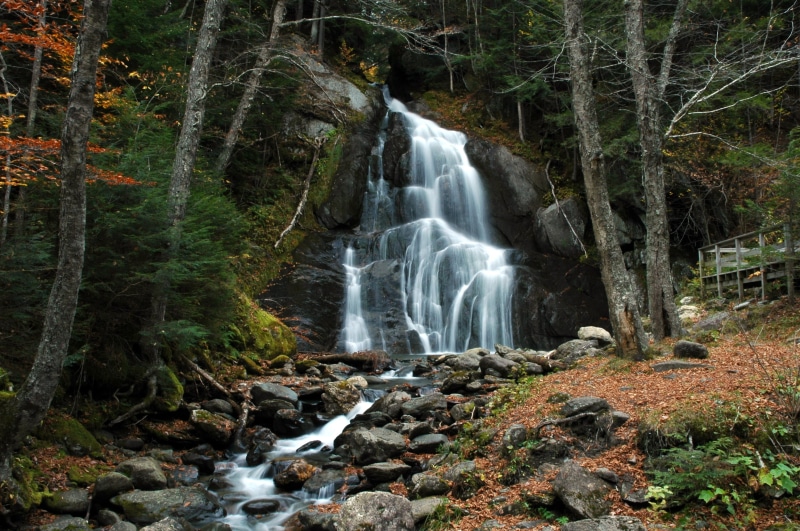 2K, Vermont, trees, nature, forest