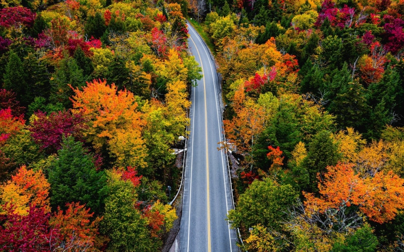 autumn, road, Smugglers Notch, trees, 1080P, forest, Vermont