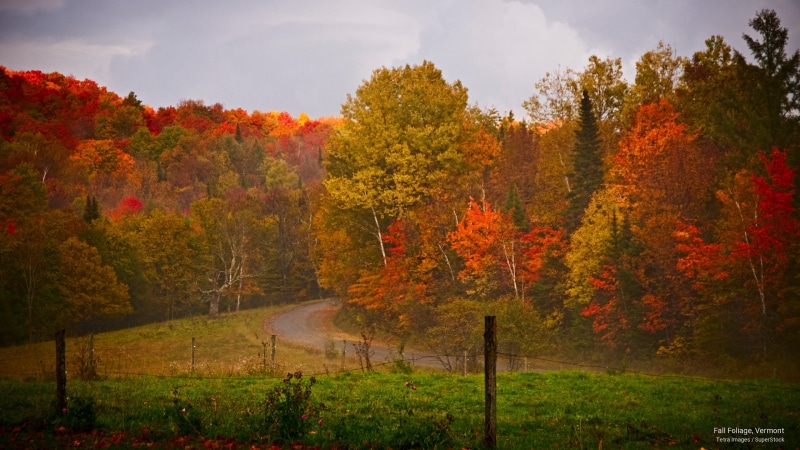 vermont, foliage, Fall, 2K