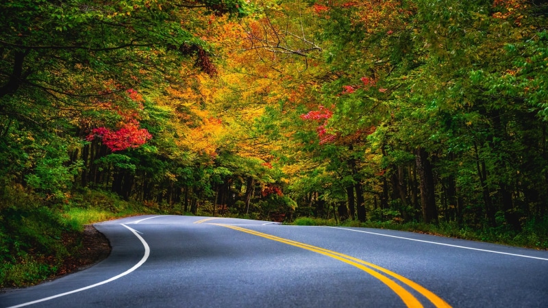 turn, markup, Vermont, 1080P, trees, autumn, forest, Smugglers Notch, road