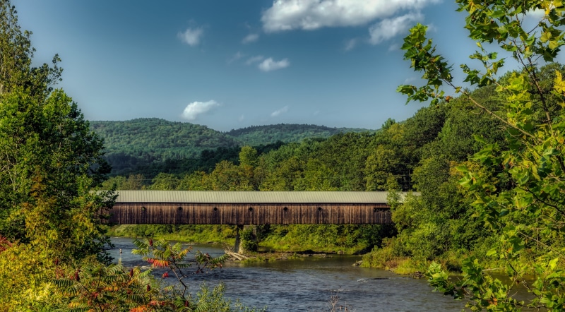 trees, outdoors, forest, vermont, river, america, woods, tranquility, tree, tourism, wilderness, scenics - nature, growth, non-urban scene, plant, panorama