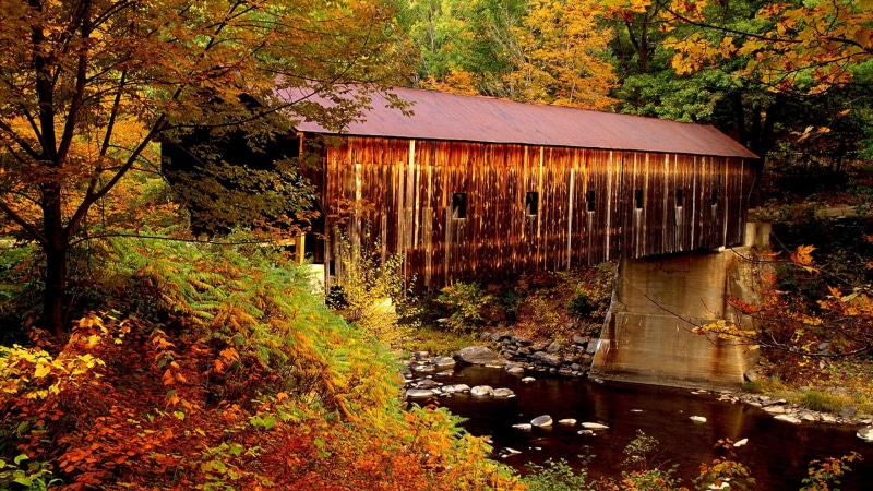 bridge, natural world, seasons, water, rural scene, tree, covered bridge, covered, stream, landforms, 1080P, vermont