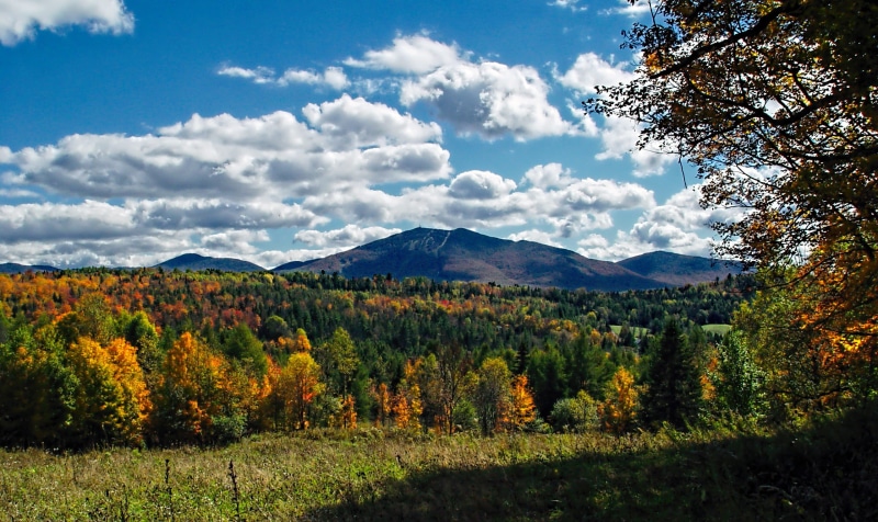 sky, plant, tranquil scene, Vermont, growth, beauty in nature, day, land, 2K, sunlight, idyllic, scenics - nature, burke, mountain, green, tranquility