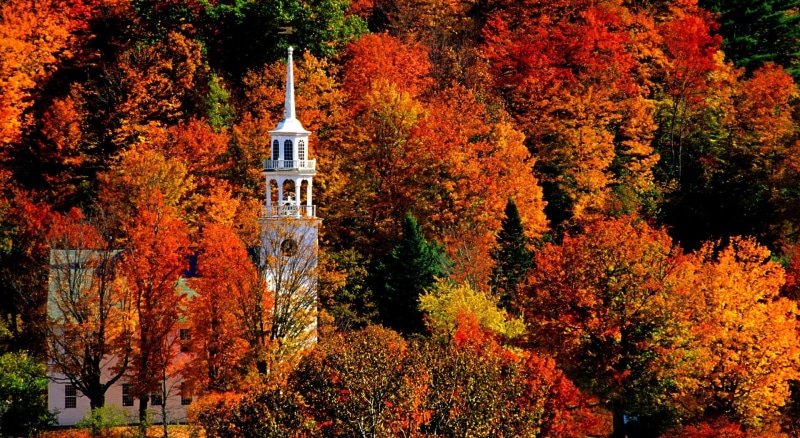 tree, Beautiful, no people, nature, growth, building, orange color, Seasons, outdoors, Church, building exterior, change, Autumn, forest, built structure