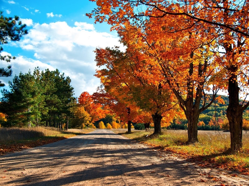 red, green Color, vermont, change, middle, maple Tree, rural Scene, direction, color Image, sky, multi Colored, travel, scenics - nature, autumn, growth
