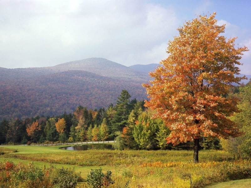 park, vermont, autumn, 720P, trees