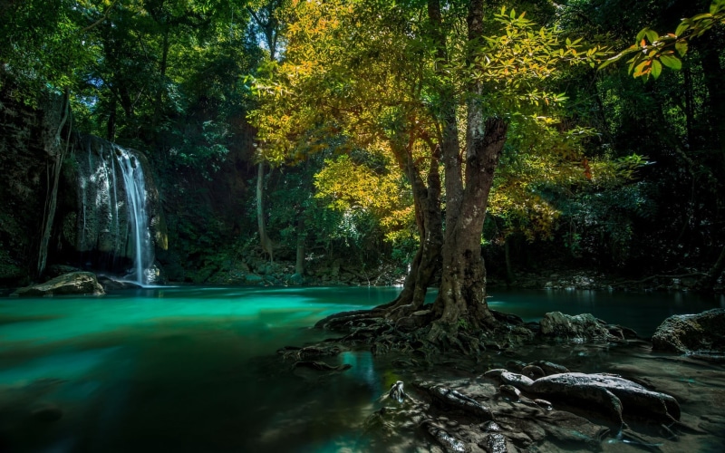 yellow, non-urban scene, tropical, lake, Thailand, waterfall, trees, leafed, growth, scenics - nature, day, tranquility, forest, green, landscape, outdoors