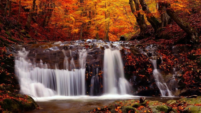 waterfall, mountain, forest, tree, plant, moss, trees, red, rock, no people, stream, rapid, green Color, lush Foliage, outdoors, freshness, tropical Rainforest