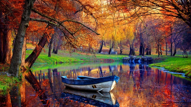 rowboat, woodland, forest, boat, park, reflection, deciduous, waterway, bank, water, autumn, 1080P, tree, canal, river, nature