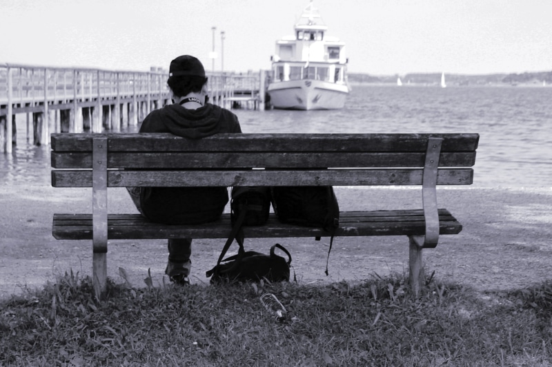 full length, mammal, outdoors, domestic, bench, domestic animals, sit, seat, human, men, relaxation, pets, nature, rear view, one animal, 2K, land, lake