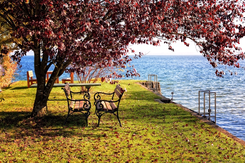 4K, plant, grass, wooden bench, land, click, day, lake, beauty in nature, autumn, field, sky, growth, resting place, blue, outdoors, seat, tranquil scene