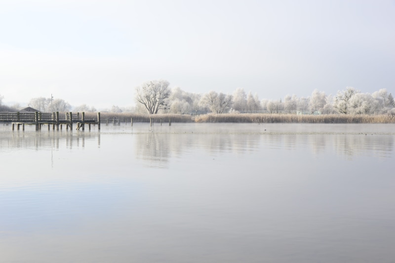 clear sky, piers, plant, still, brown, 5K, non-urban scene, chiemsee, idyllic, reflection, tranquility, tranquil scene, hoarfrost, mood, bavaria, jetty