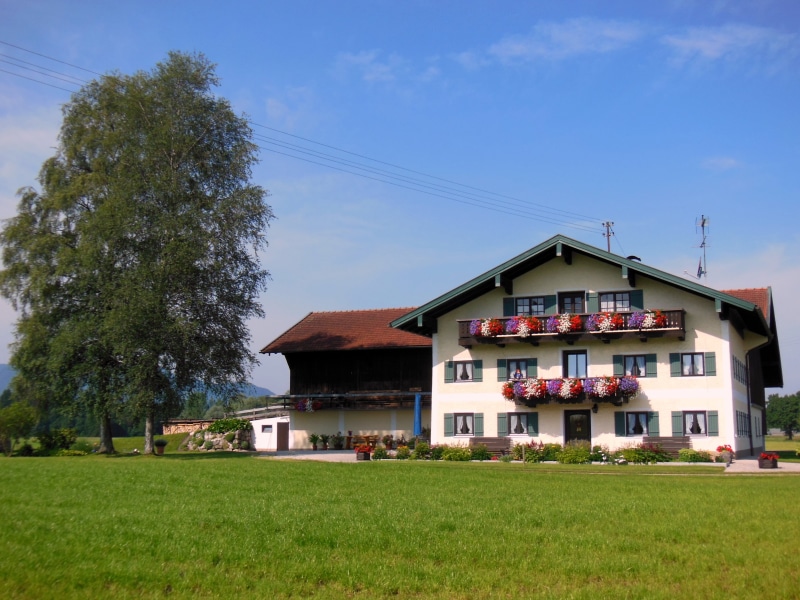 residential district, land, field, tree, grass, cloud - sky, house, sky, bavaria, farmhouse, day, no people, nature, growth, green color, architecture
