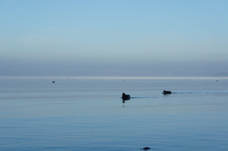 horizon over water, color Image, tranquil Scene, nautical Vessel, sea, lonely, silent, lake, fishing, idyll, being alone, day, outdoors, scenics - nature