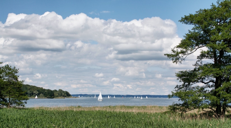 covered sky, waters, tranquility, nature, tree, beach, landscape, beauty in nature, scenics - nature, blue sky, chiemsee, sea, no people, bavaria, sky