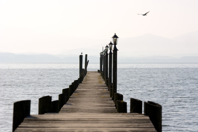vertebrate, sky, long, seagull, the way forward, web, jetty, boardwalk, dock, architecture, scenics - nature, daytime, wooden post, day, cloudiness, animal