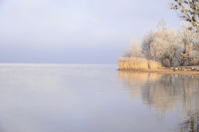 bavaria, horizon over water, outdoors, hoarfrost, winter mood, idyllic, wintry, frozen, scenics - nature, 5K, water, day, winter time, non-urban scene