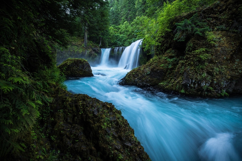 outdoors, solid, long exposure, waterfall, land, plant, motion, stream - flowing water, water, forest, scenics - nature, beauty in nature, 4K, non-urban scene