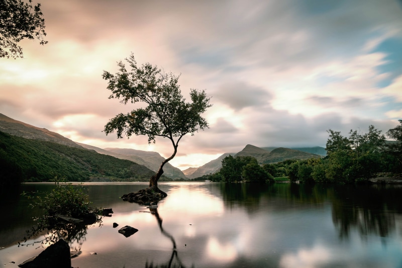 non-urban scene, mac, north wales, tree, nature, long-exposure, water, 5K, sky, plant, beauty in nature, no people
