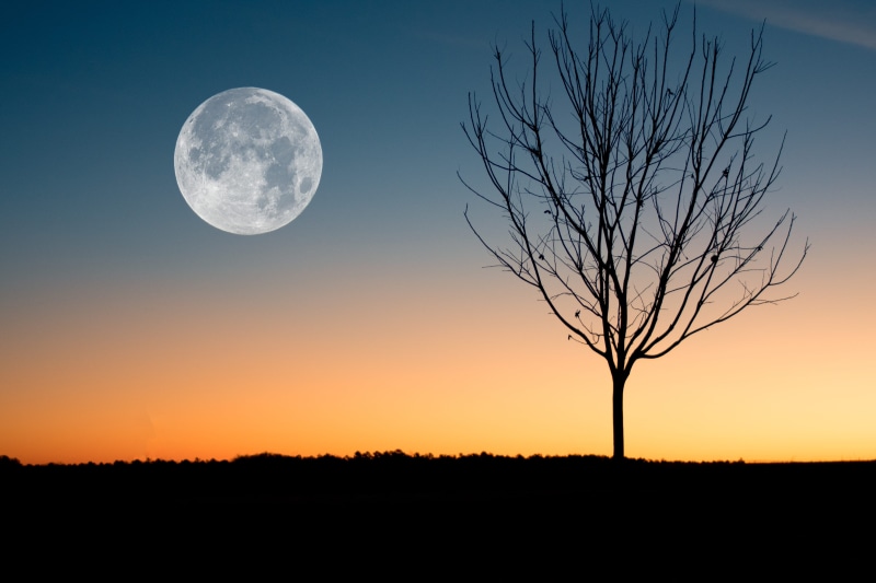 mac, landscape, backlit, outdoors, astronomy, tranquil scene, sky, no people, silhouette, beauty in nature, 4K, bare tree, branch
