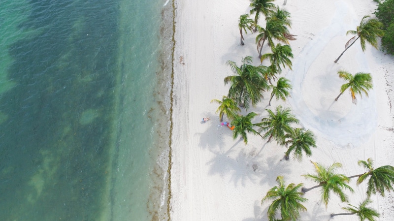 luxury, no people, photo, 4K, beach, tree, seashore, exotic, aerial view, vacation, land, travel destinations, coconut, holiday, daytime, waters edge