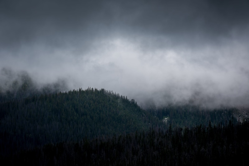 non-urban scene, environment, nature, tree, silhouette, no people, cloud - sky, areal, ominous, sky, land, cloudy, outdoors, landscape, woodland, tranquil scene
