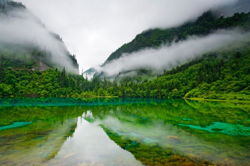 landscape, jiuzhaigou, trees, jiuzhaigou nature reserve, reserve, five colored lake, clear water, 1080P, colored, china, mist, five, lake, nature, mountain