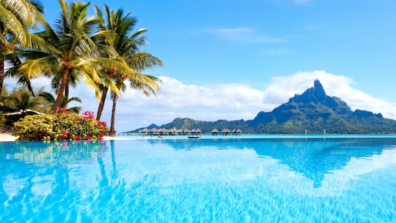no people, outdoors, tourism, bora bora, french polynesia, turquoise colored, coconut palm tree, sea, resort town, resort, tropics, tropical tree, lagoon