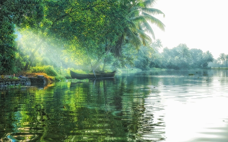 tranquility, tree, reflection, sky, tropical, water, boat, green, 720P, landscape, nautical vessel, scenics - nature, sun rays, tranquil scene, near, no people