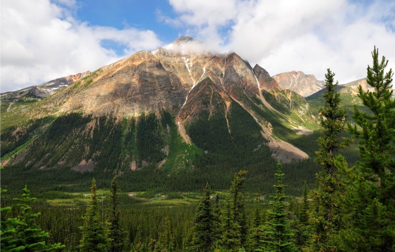 plant, mountains, landscape, beauty in nature, the sky, 2K, environment, tranquil scene, geology, cloud - sky, tranquility, Jasper National Park, tree