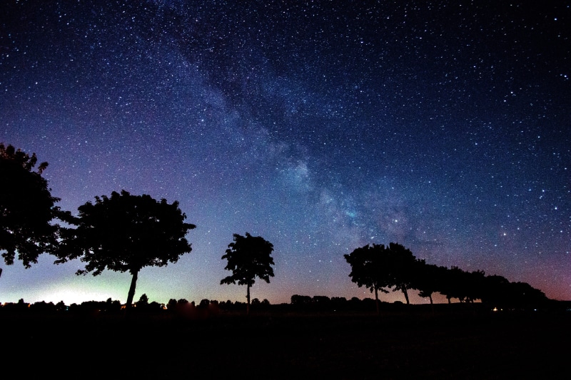 plant, cosmos, star, tranquil scene, skies, panorama, mood, milky way, nature, constellation, long exposure, space and astronomy, silhouette, trees, space