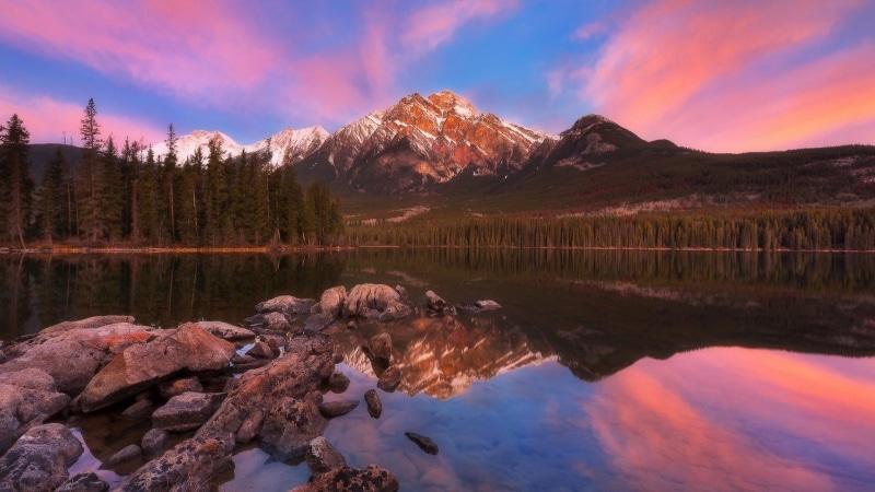 cloud - sky, pink sky, idyllic, alberta, lake, mountain, wilderness, pine tree, tranquility, dawn, tree, sky, pyramid lake, pyramid mountain, north america