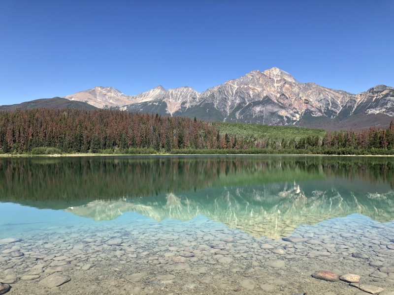 trees, jasper, idyllic, non-urban scene, water, 4K, mountain range, nature, environment, landscape, outdoors, tranquil scene, no people, pine, national