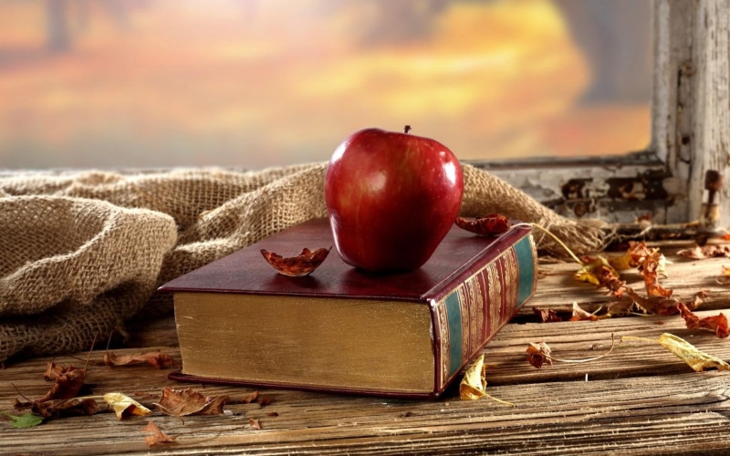 leaves, 720P, autumn, dry, book, apple