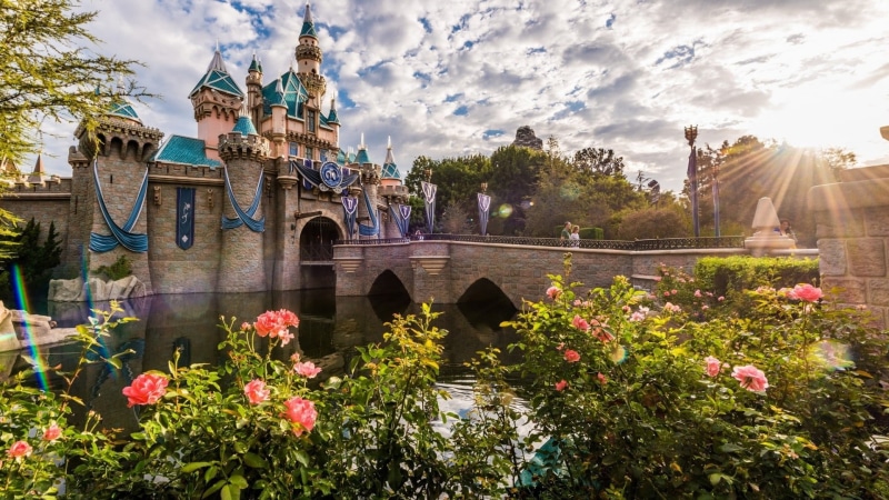 built structure, disneyland, flower, arch, anaheim, sleeping beauty castle, water, california, fairytale, sunbeam, sunset, tourism, sky, no people, day