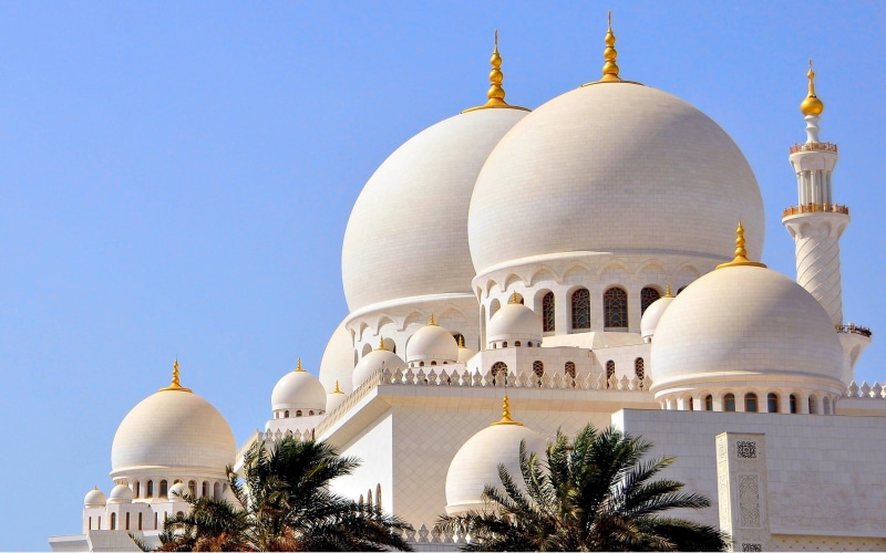 tree, religion, belief, mosque, sheikh, architecture, emirates, phones, building exterior, desktop, low angle view, ornate, spirituality, nature