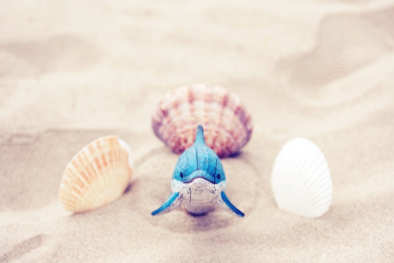 animal themes, paradise, ocean, beside, wave, seascape, close-up, animal wildlife, sand, art and craft, travel, animal shell, invertebrate, seashells, beach sand