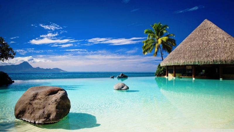 swimming pool, land, nature, tropical climate, beach, tranquil scene, turquoise colored, coconut palm tree, palm tree, blue, sea, plant, beauty in nature