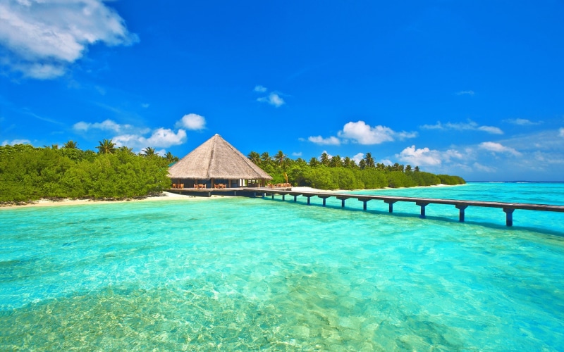 Trees, Maldives, Island, Sky, 1080P, Palm, Sea, Pier, Bungalows, Ocean, Bridge