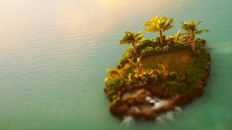 close-up, beach, day, table, selective focus, high angle view, view, coastline, tranquility, sunlight, green, food and drink, nature, water, green Color