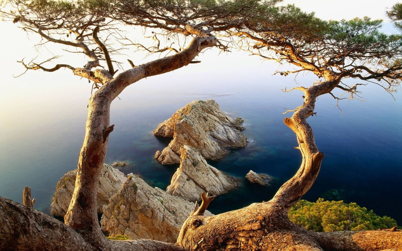 daytime, outdoors, beauty In Nature, sky, tranquil Scene, scenics, tree, water, morning, summer, grey, tranquility, day, rocky, plants, forest, famous Place