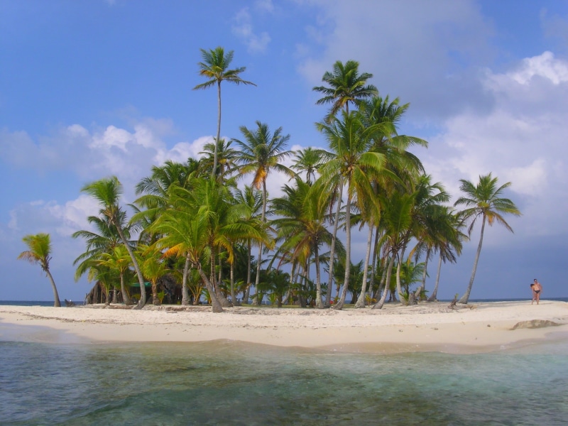 sand, outdoors, beauty in nature, san blas islands, tropical tree, tranquil scene, sea, coconut, palm tree, trees, nature, person, beach, sky, san blas