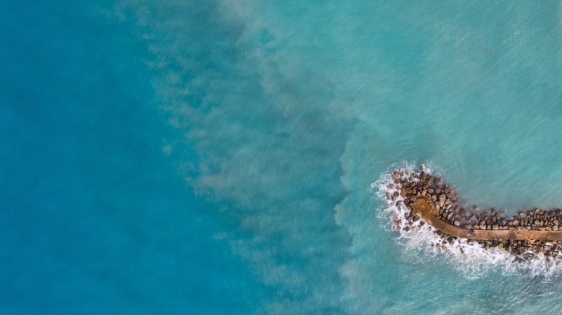 bird, wave, beach, dji phantom, land, near, day, eye, sea, dock, dji phantom 4 pro, aquatic sport, shore, aerial view, high angle view, photography, view