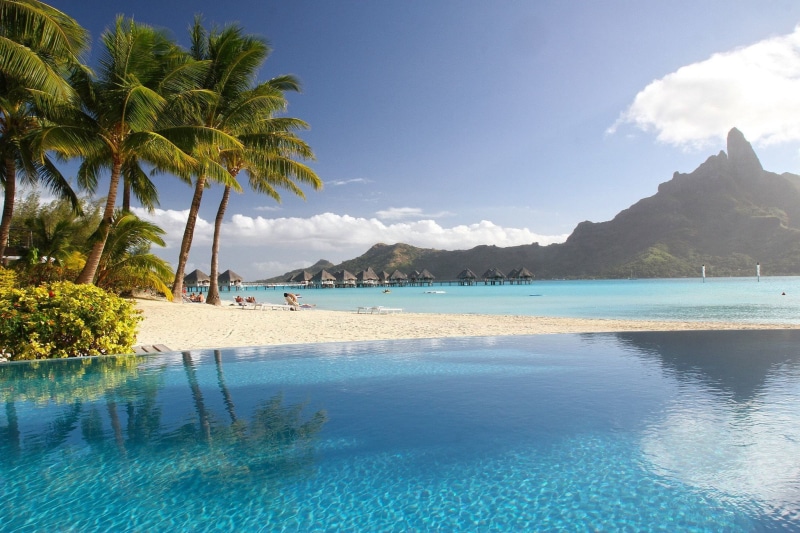 plant, scenics - nature, nature, beach, swimming pool, outdoors, tropical climate, beauty in nature, sea, sky, tranquility, blue, luxury, idyllic, land