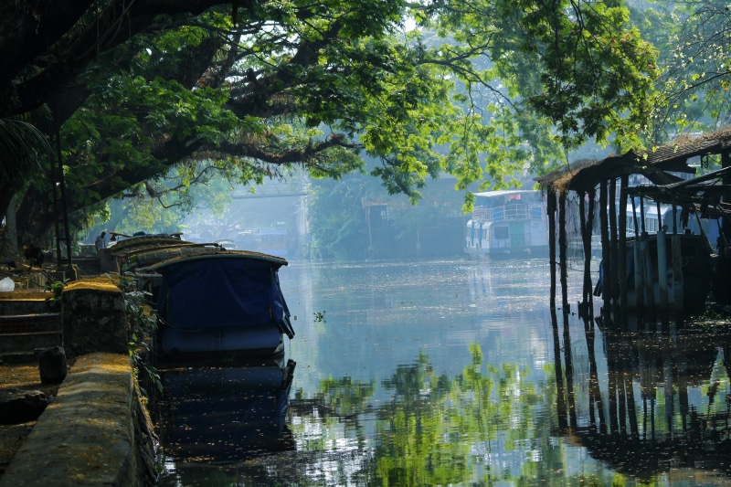scenery, river, nature, alappuzha, landscape, built structure, beauty in nature, forest, day, alleppey, growth, waterfront, scene, 4K, alleppey boat jetty