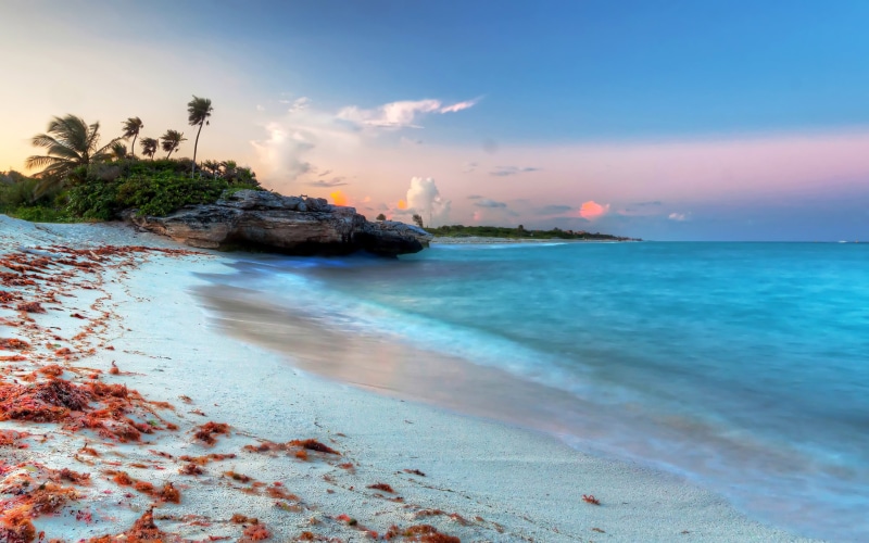 nature, tranquility, scenics - nature, water, beach, tree, photo, plant, beauty in nature, 4K, hd, cloud - sky, carmen, playa, sunset, tranquil scene