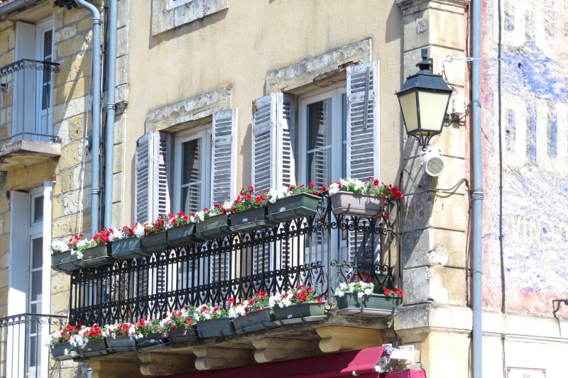 plant, low angle view, french, residential district, city, Iron, built structure, potted plant, building, trompe-loeil, flowering plant, Balcony, flowers