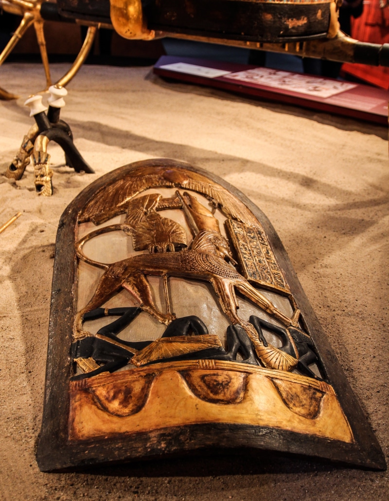 shield, animal wildlife, 4K, burial chamber, turtle, wood - material, history, transportation, old, egypt, pharaonic, no people, high angle view, tortoise